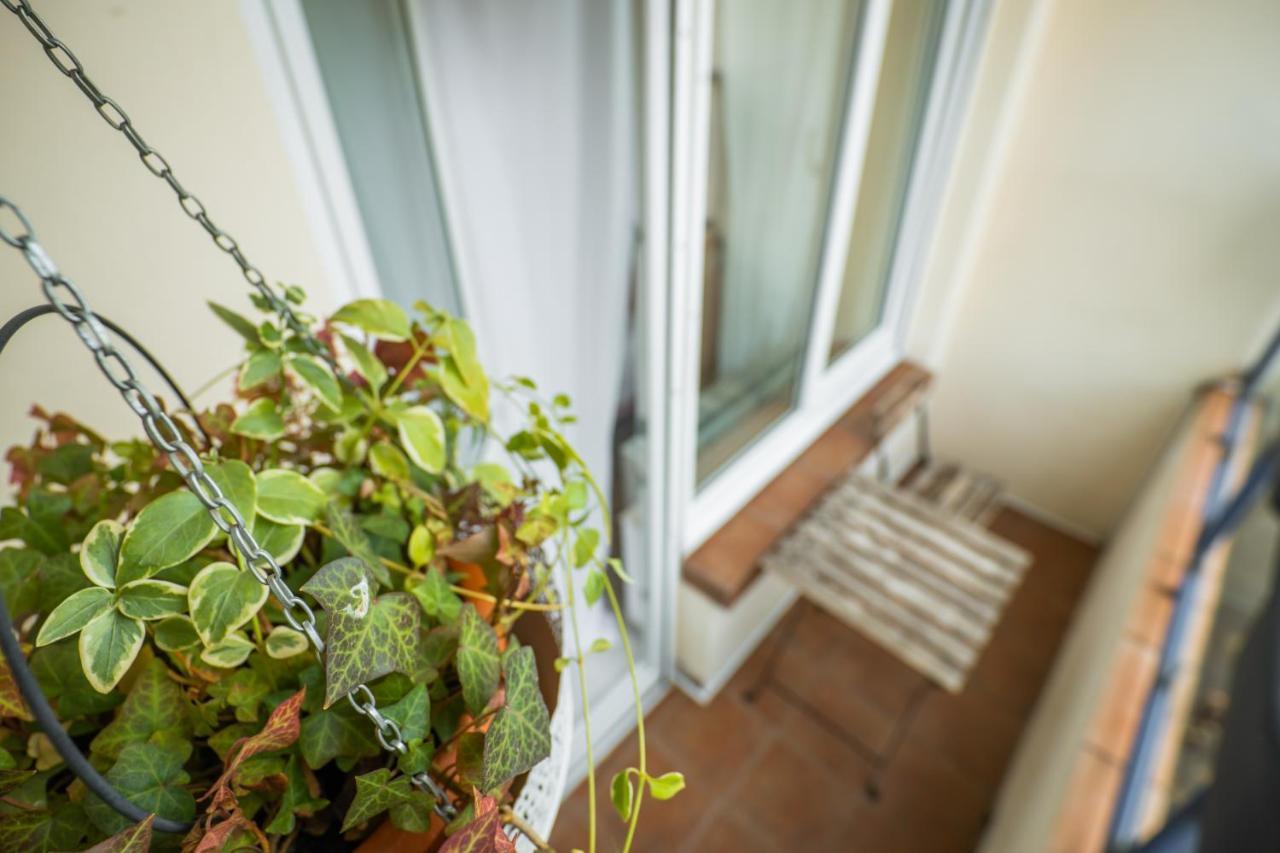 Bucharest Cozy Studio エクステリア 写真